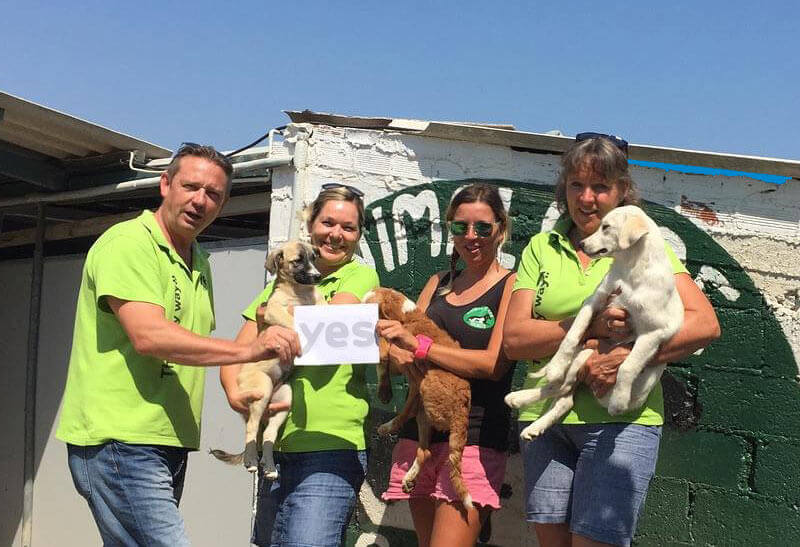 yes team at Animal care Samos
